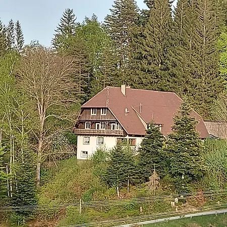Auerhahn *