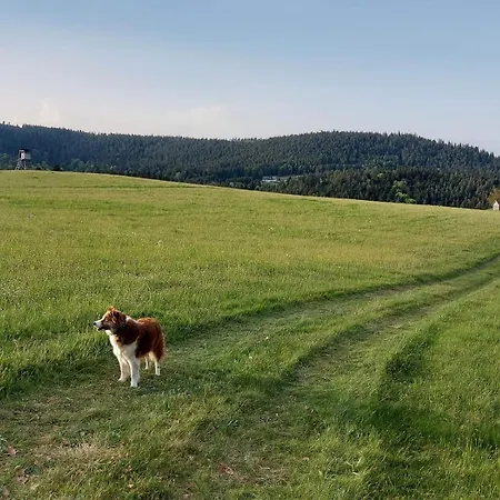 Lägenhet Auerhahn Lauterbach (Baden-Wurttemberg)
