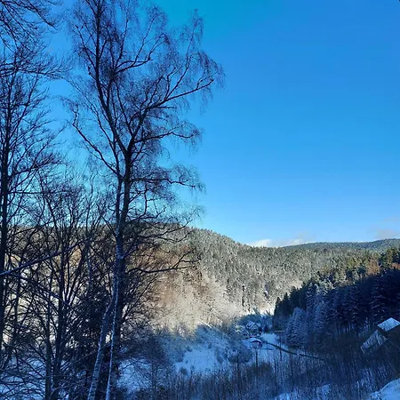 Auerhahn Lägenhet *